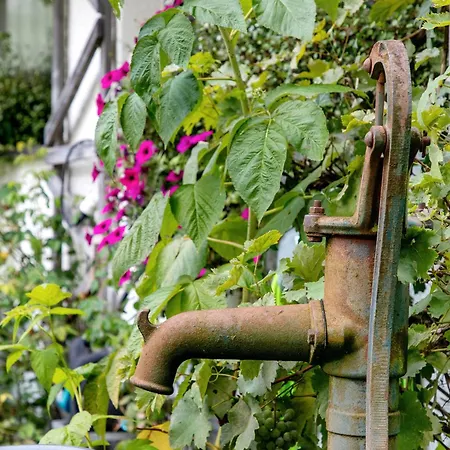 Haus Mueller Apartment *