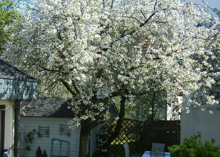 Haus Mueller Romerstein
